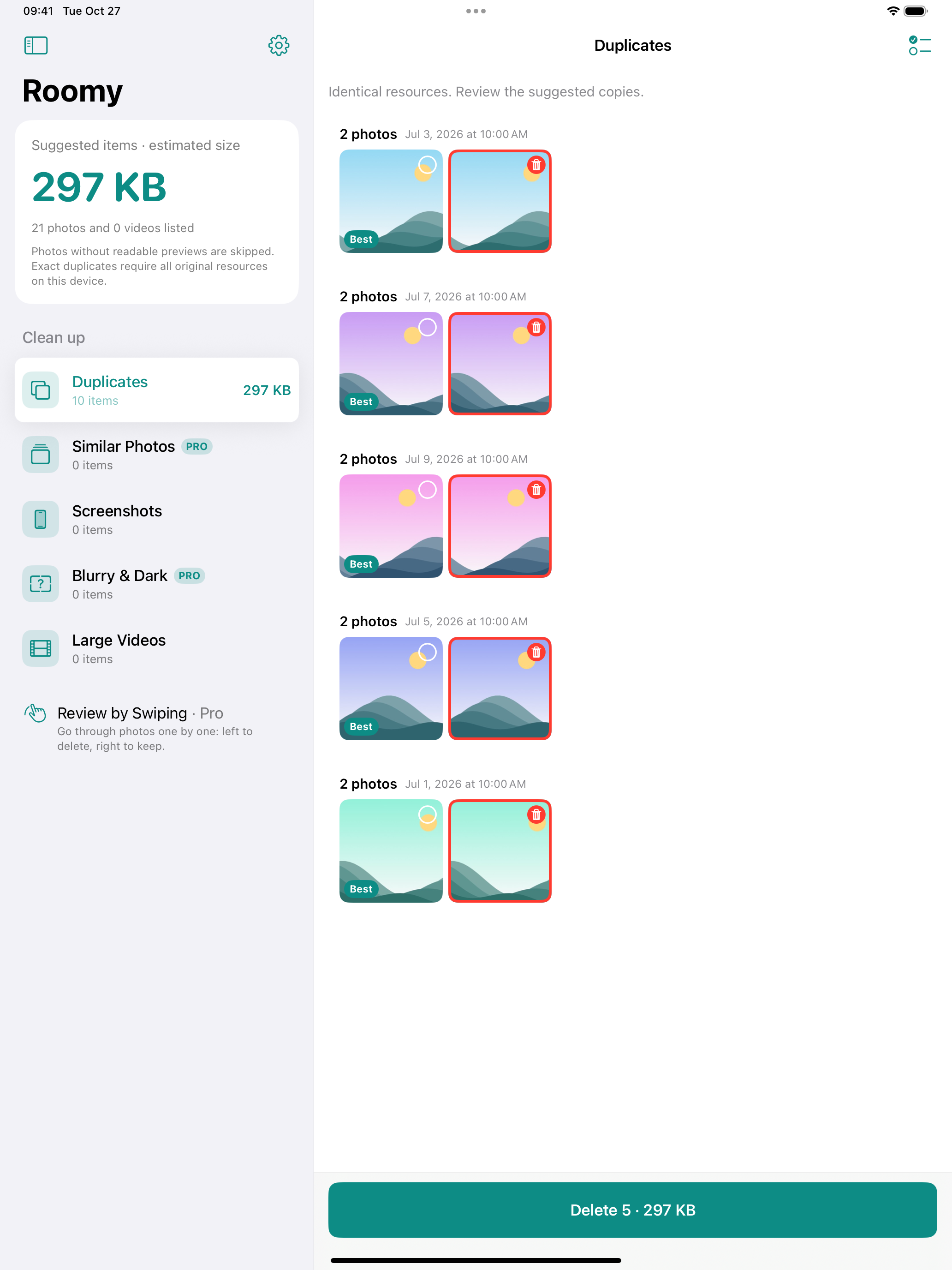 Roomy on iPad with a category sidebar and photo review area